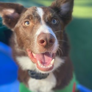 Meet your Posher, Eric